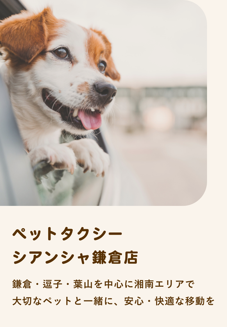 ペットタクシーシアンシャ鎌倉店トップ画像