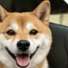 通院がこんなに楽になるとは思いませんでした