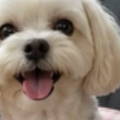 毎月安心してお願いしています