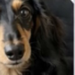 急なお願いにも対応していただき感謝です