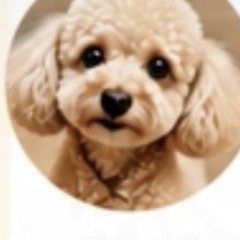 安心してお任せできる心強い存在です