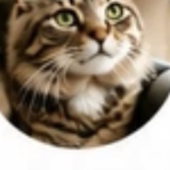 猫の病院は大変でしたが、本当に助かりました