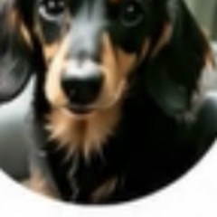 遠出のお出かけにも安心して利用できます