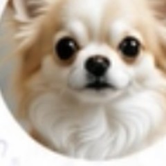 トリミングやお出かけにもいつもお願いしています